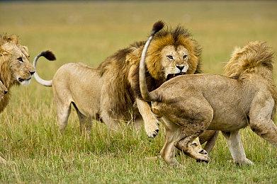 传闻：《地狱之刃2》或将在今年年内推出